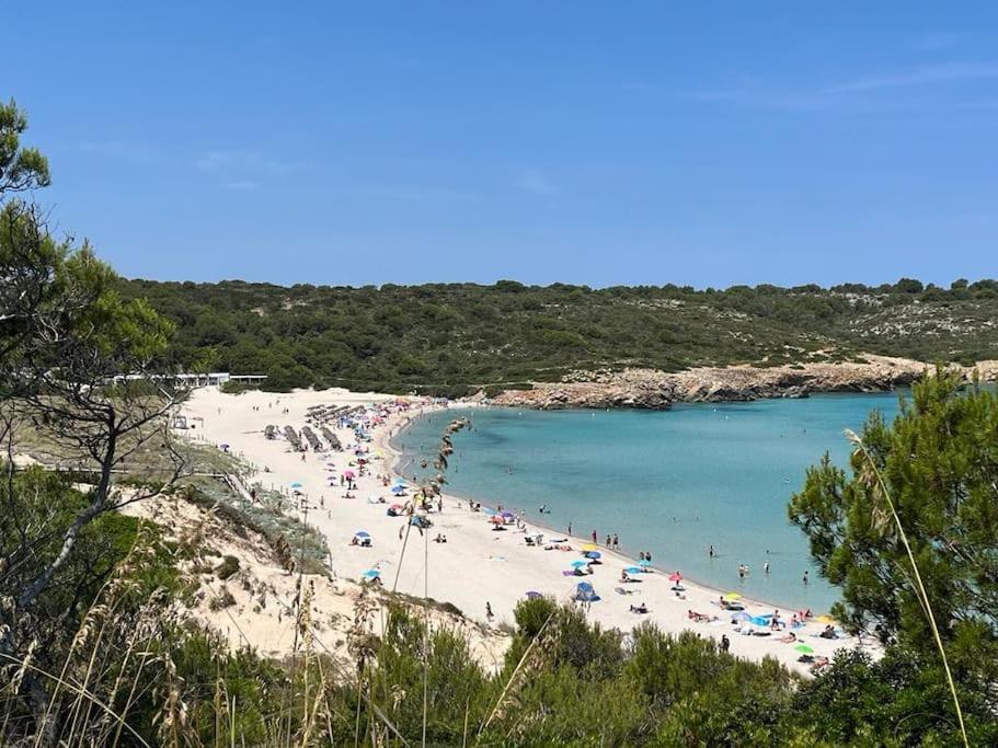 Precioso Apartamento En Primera Linea De Mar Son Parc Kültér fotó